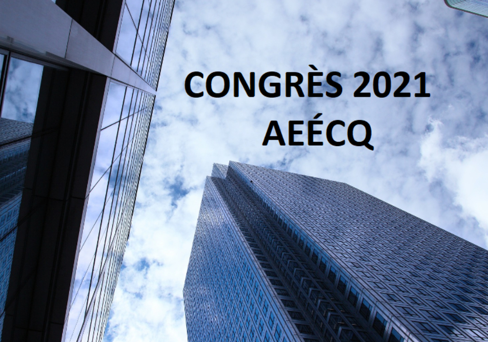 CONGRÈS 2021 - Présentation PowerPoint / ADDRESSING ECONOMIC VOLATILITY (OR NOT) IN PROJECT RISK ANALYSIS